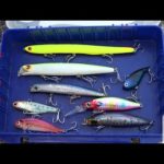 【実釣】予算5,000円！中古ルアーでシーバスを釣る！！