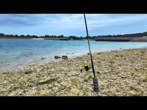 泳がせ釣りで大物を狙った結果…