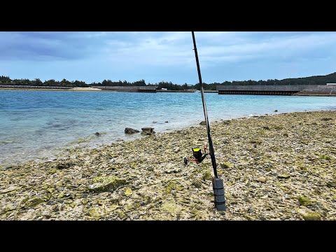 泳がせ釣りで大物を狙った結果…