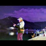 静かな深夜の漁港で釣りしていたら...