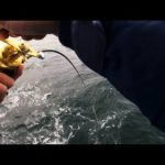 【東京湾マゴチ】2023春シーズン1回目の釣行！｜横須賀沖→富岡沖～八景沖