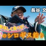 美味しく食べる！春のシロギス釣り