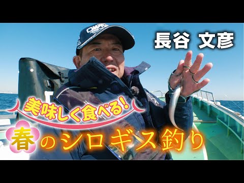 美味しく食べる！春のシロギス釣り
