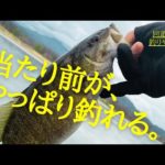 【川のバス釣り】回遊バスを狙って釣る！