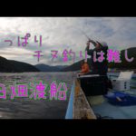 田畑渡船　春の乗っ込み　チヌ釣り