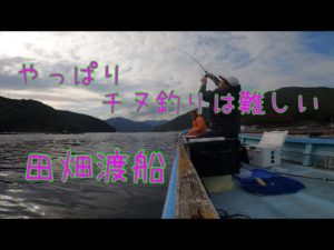 田畑渡船　春の乗っ込み　チヌ釣り