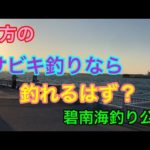 夕方のサビキ釣りなら釣れるはず？碧南海釣り公園