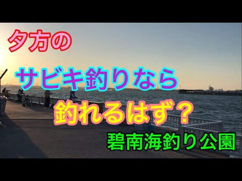 夕方のサビキ釣りなら釣れるはず？碧南海釣り公園