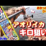 【達成】デカいアオリイカをウキ釣りで狙った結果がスゴイ。