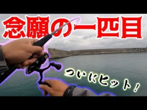 【日本釣り旅#2】旅出発から３日目、とうとう○○が釣れた！！