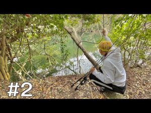 【釣りサイコロ旅#2】絶対誰も行かない池の奥の秘境を少し覗いてみたら…エグかった!!!