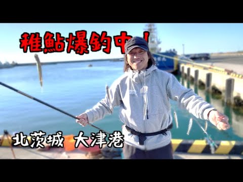 誰でも釣れる！大津港で稚鮎が爆釣中ですッ！！！