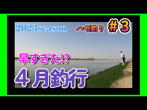 2023年【ハゼ釣り#3】まだ早かったか!?‗4月にハゼ釣りしてみた☆‗釣果情報