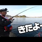 堤防からとく父の竿にまさかのあの魚が！？