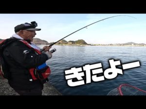 堤防からとく父の竿にまさかのあの魚が!?