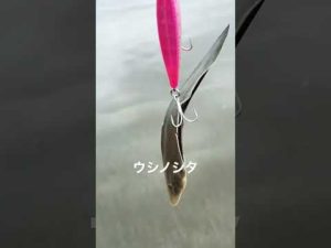 サーフ釣り‼︎ヒラメ釣りに行ったらウシノシタがくっついてきたw