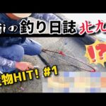 【北九州釣り】大物HIT! ヒラメか？イカ？その正体は🐟　パート1