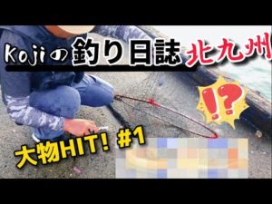【北九州釣り】大物HIT! ヒラメか？イカ？その正体は🐟　パート1