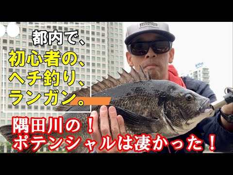 ヘチ釣り・隅田川のポテンシャルは凄かった！
