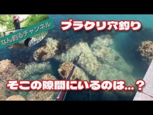 穴釣り そこの隙間にいるのは...？