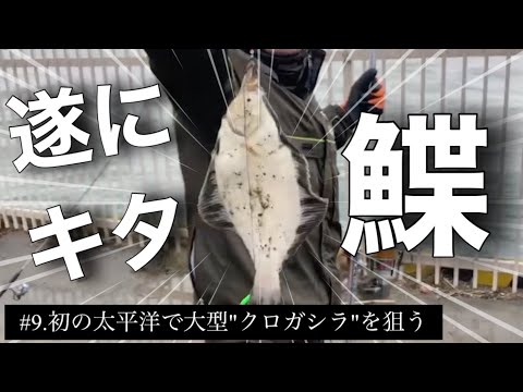 【釣りログ】#9.狙いは大型”クロガシラ!!”初の太平洋で投げ竿デビュー