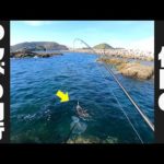 休みの日でも釣りに行くかっちゃんの自由な釣行編