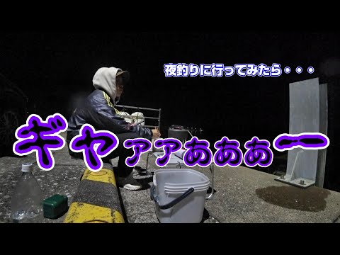夜釣りに行ってみたら・・・