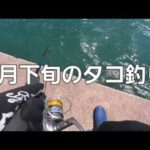 タコ釣りシーズン間近！YAMASHITAタコベイト&最強の組み合わせで巣穴から引きずり出す【4月下旬タコ釣りデイゲーム】