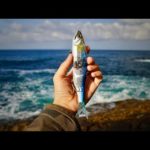 【鬼ハイリスク】ビッグベイトの沼な使い方…。