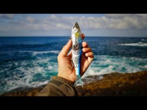 【鬼ハイリスク】ビッグベイトの沼な使い方…。