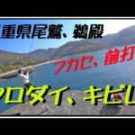 2023年4月　三重県尾鷲～鵜殿　クロダイ釣り