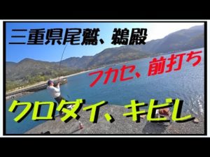 2023年4月　三重県尾鷲～鵜殿　クロダイ釣り