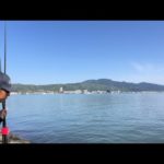 琵琶湖バス釣りライブR5-4/23