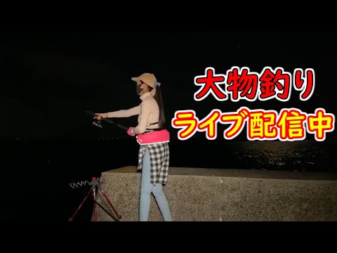 大物釣りライブ配信とちょっと伝えたいことがあります…