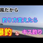 爆風だから釣り方変えたら爆釣なキス釣り 知多半島