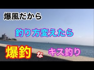 爆風だから釣り方変えたら爆釣なキス釣り 知多半島