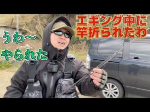 春イカ釣りにエギング行ったらアイツに竿折られた