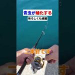 青虫が怖ろしくも綺麗な生物に蛹化する瞬間