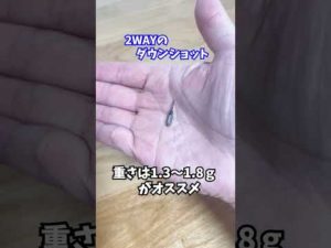 【バス釣り】２wayのダウンショットの針と重さ(レイドジャパン)