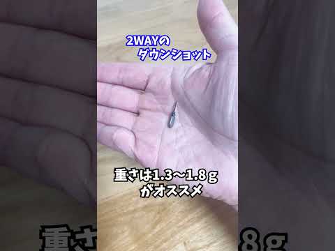 【バス釣り】２wayのダウンショットの針と重さ(レイドジャパン)