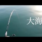 【かかり釣り】息子とのんびりカセ釣り日記９　突き刺さる穂先編