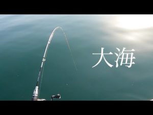 【かかり釣り】息子とのんびりカセ釣り日記９　突き刺さる穂先編