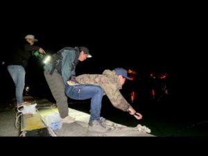 なぜこんな所に？漁港で釣りしていたら奇跡が起きた！！！