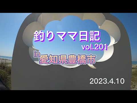 釣りママ日記vol.201愛知県豊橋市