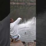 座ってフリップキャストスキッピング #バス釣り #fishing #スキッピング #skipping