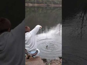 座ってフリップキャストスキッピング #バス釣り #fishing #スキッピング #skipping