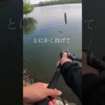 【バス釣り】信じて投げ続けるしか道はない！#バス釣り#釣りガール#ビッグベイト