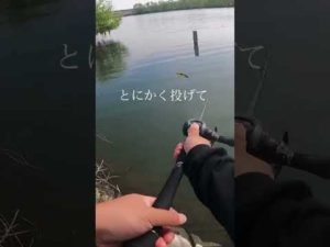 【バス釣り】信じて投げ続けるしか道はない！#バス釣り#釣りガール#ビッグベイト