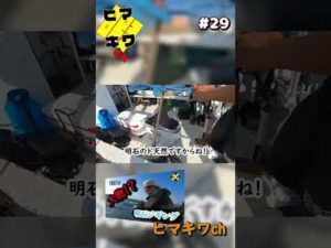すごいなぁ　#明石ジギング #青物 #ハマチ #釣り #釣り初心者 #fishingvideo #short #shorts 29 30