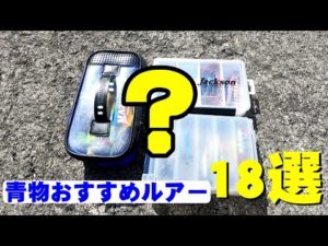 【武庫川一文字】ショアジギング青物におすすめルアー18選!